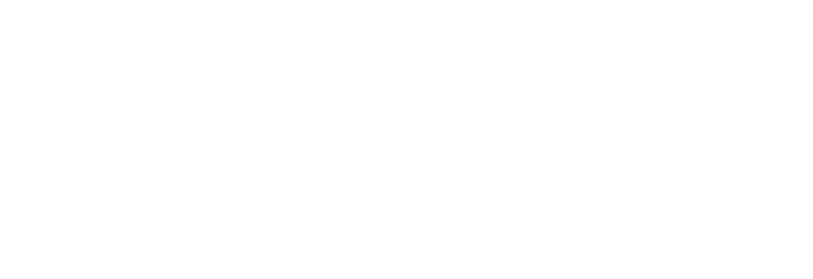 novi-logo-hills-bijeli